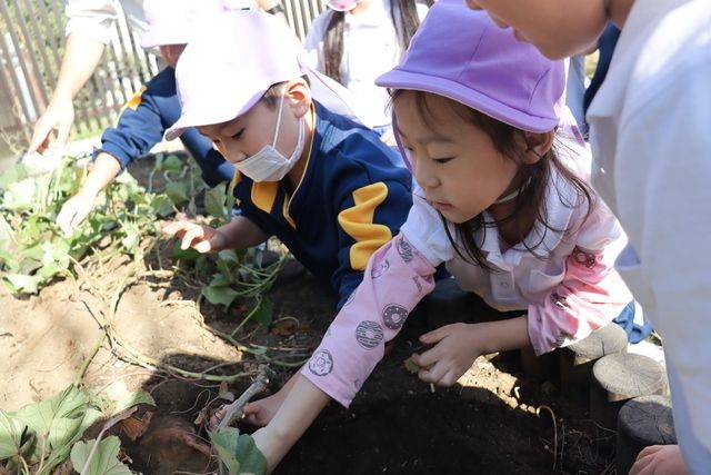 社会福祉法人コビーソシオの求人・転職情報