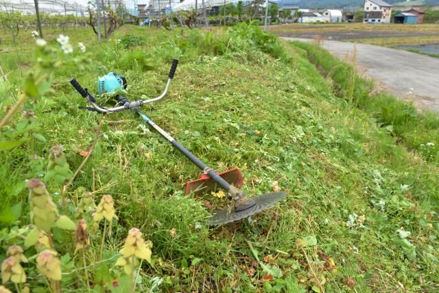 株式会社荘川のアルバイト・バイト求人情報