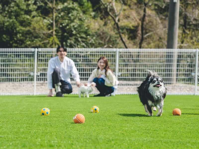 ホテルWAN STORYの派遣求人情報