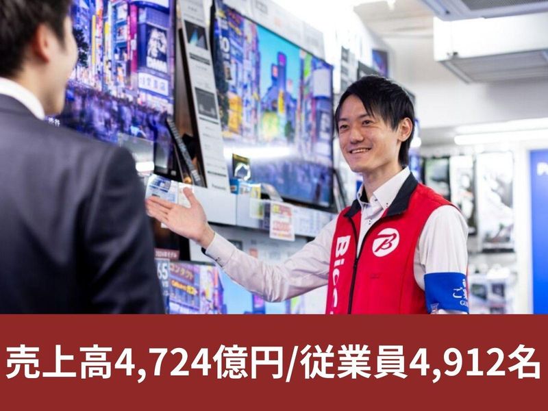 株式会社ビックカメラ