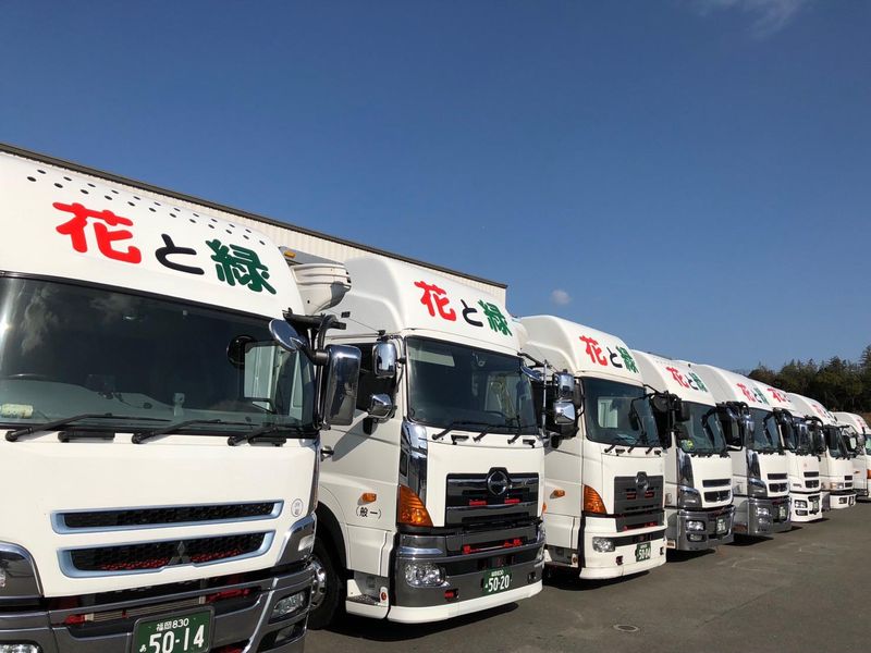 株式会社イトキューの求人・転職情報