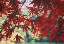 株式会社アビリティの求人情報