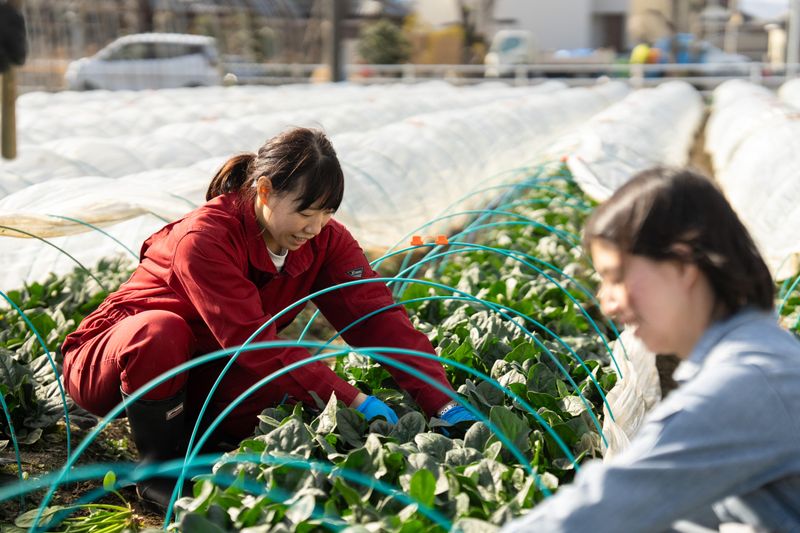 大協青果株式会社の求人・転職情報