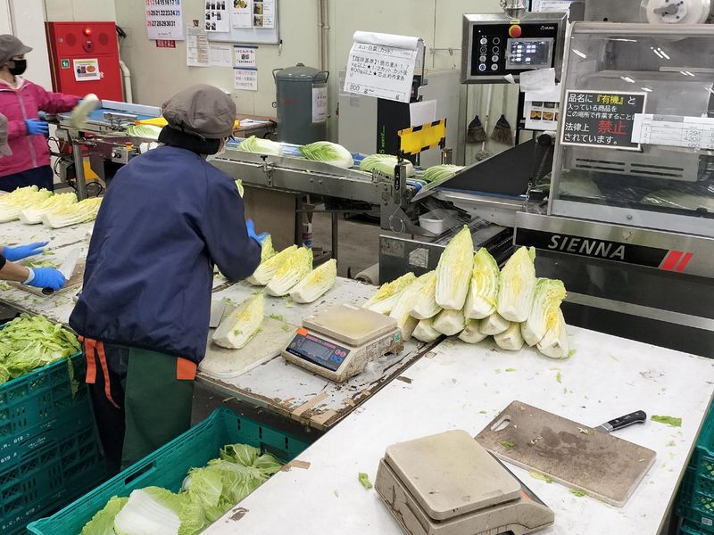 パルシステム相模青果センターの求人情報