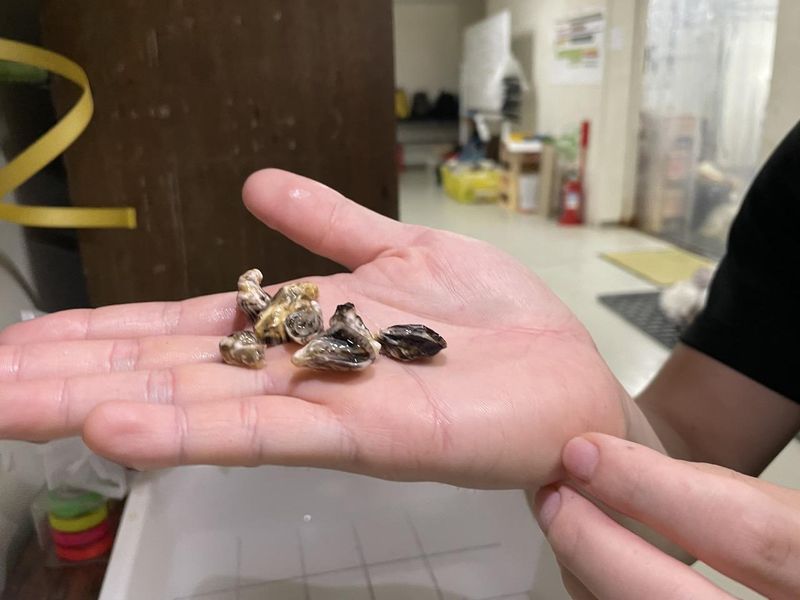うみの株式会社の求人・転職情報