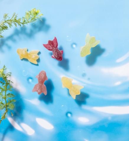 株式会社西洋菓子鹿鳴館の求人・転職情報