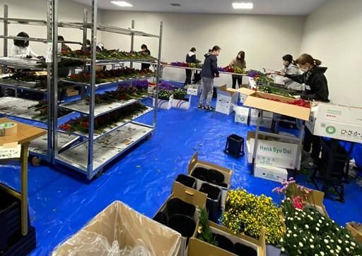 (株)肆矢花き卸売市場　名港肆矢の求人情報