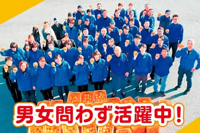 株式会社乃万青果　のま果樹園のアルバイト・バイト求人情報