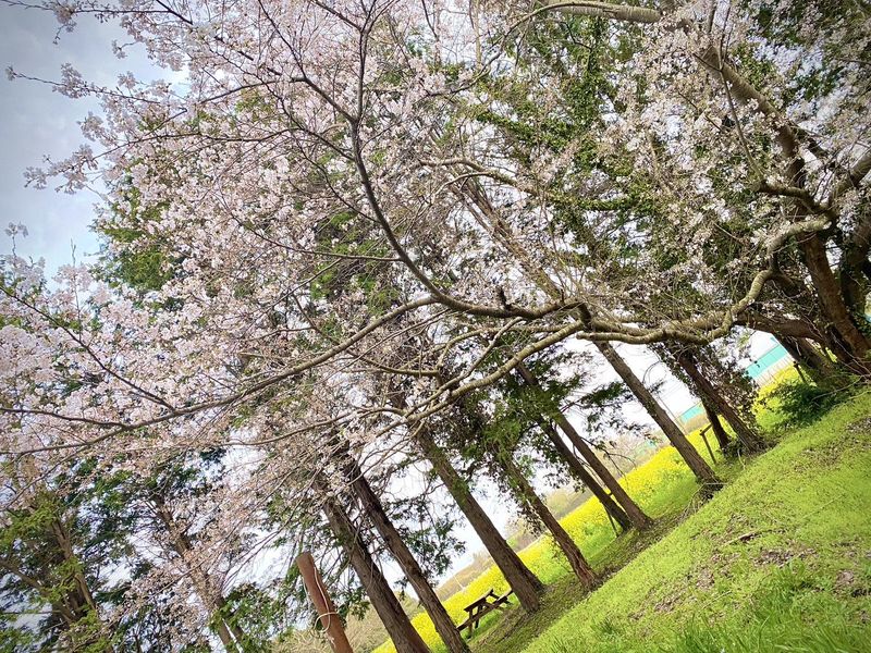 有限会社 三里塚物産のアルバイト・バイト求人情報-03