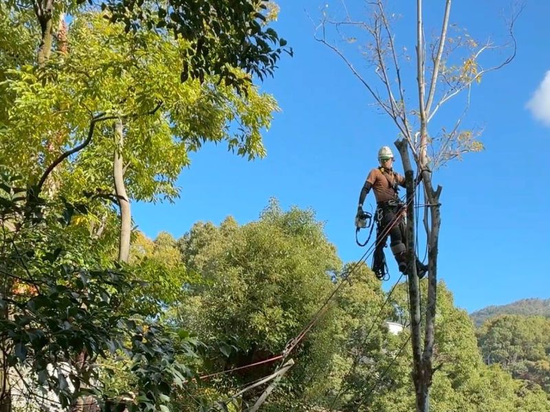 株式会社山組の求人・転職情報