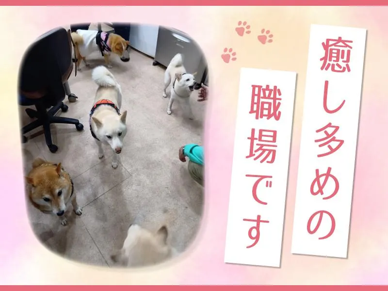 有限会社　ニコニコ介護センターの求人・転職情報