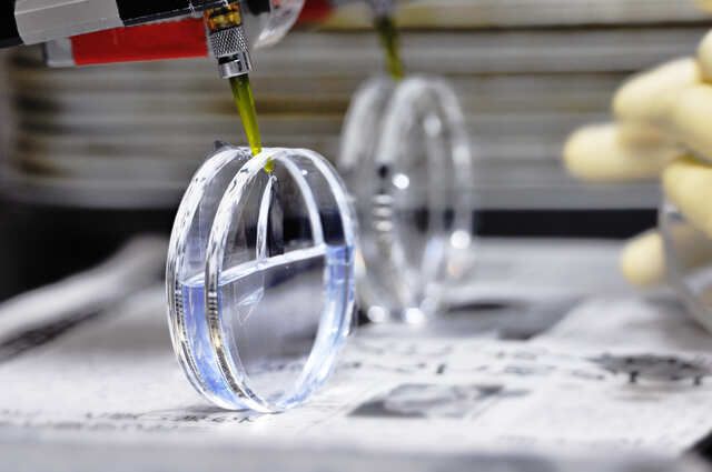 株式会社サンルックスの求人・転職情報