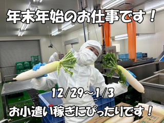 株式会社若菜の派遣求人情報