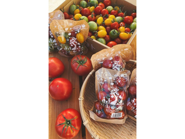 JAちば東葛 西船地区経済センターのアルバイト・バイト求人情報-02