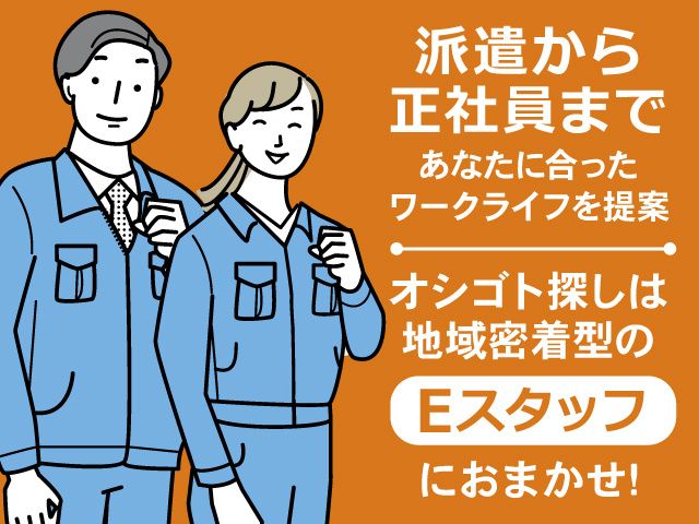東洋ソフトウェアの求人・転職情報