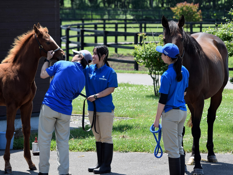 ダーレー・ジャパン・ファーム有限会社