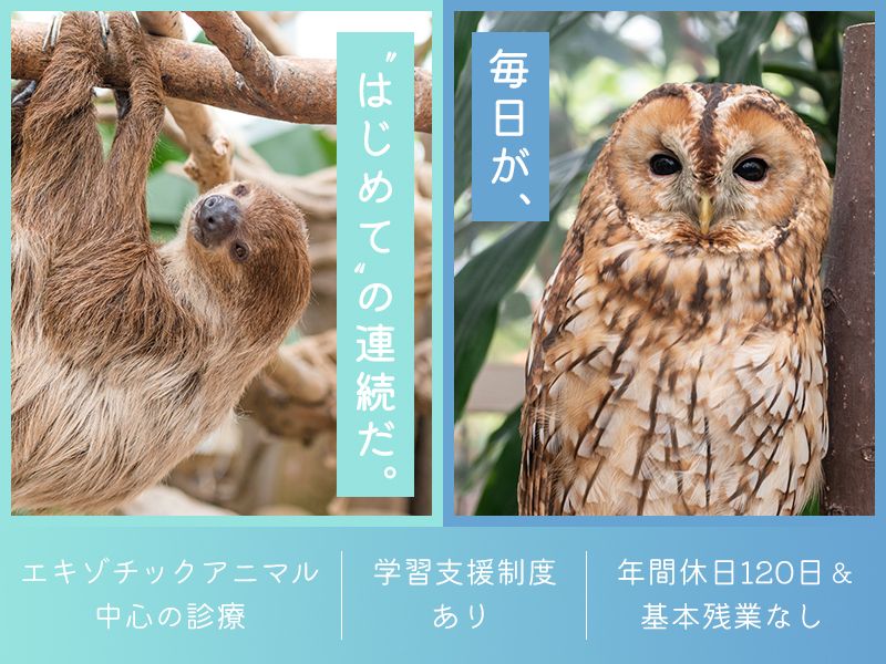 動物病院キバタン王国の求人・転職情報