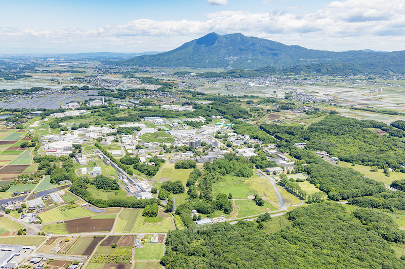 大学共同利用機関法人高エネルギー加速器研究機構