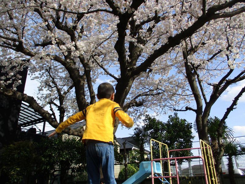 特定非営利活動法人にじのこの求人・転職情報