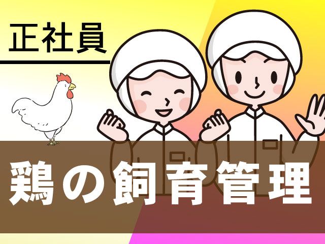 株式会社朝びき若鶏-0003の求人・転職情報