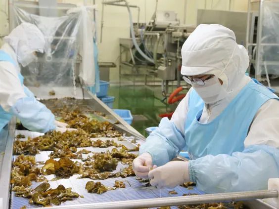 株式会社For A-career リクロジ事業部の求人・転職情報