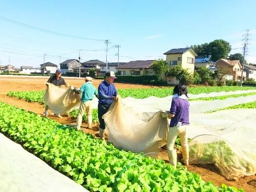 田中農園の派遣求人情報