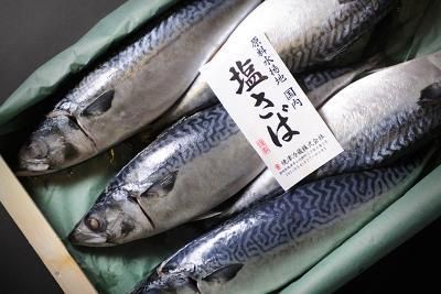 焼津冷蔵株式会社のアルバイト・バイト求人情報-03