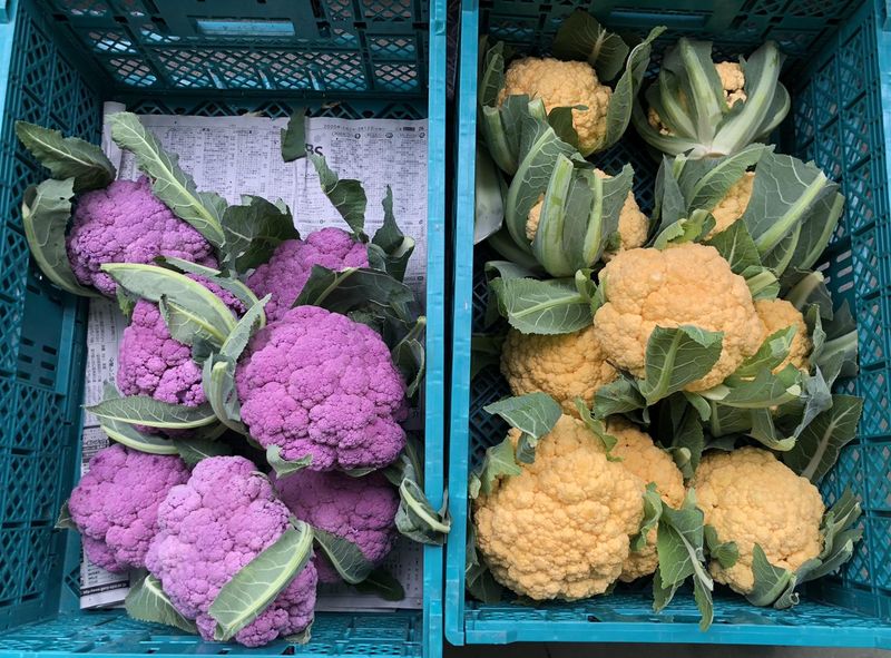 みのり西尾店のアルバイト・バイト求人情報-02