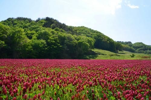 一般社団法人葛尾むらづくり公社-0004の求人・転職情報