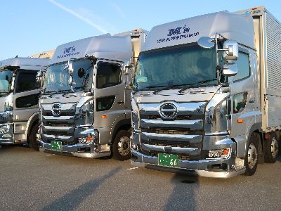 株式会社エムズトランスポートの求人・転職情報