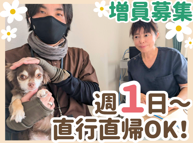 株式会社サンブルーム　はるいろ訪問看護ステーションのアルバイト・バイト求人情報-03