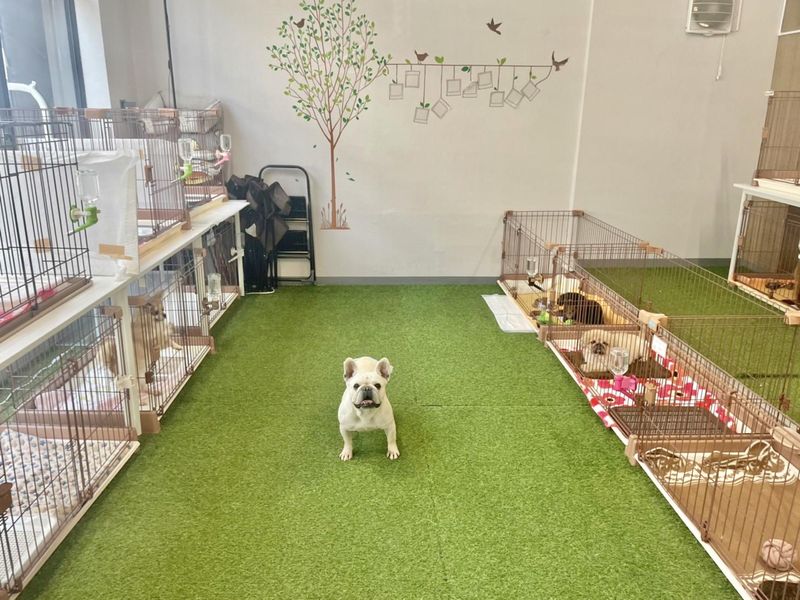 株式会社MILLEの求人・転職情報