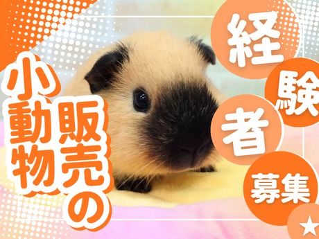 株式会社コーワペッツコーポレーションの求人・転職情報