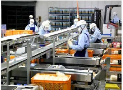 えのき茸の生産販売会社・藤のアルバイト・バイト求人情報-02