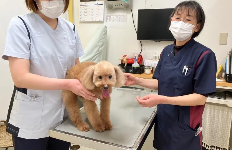 求人画像