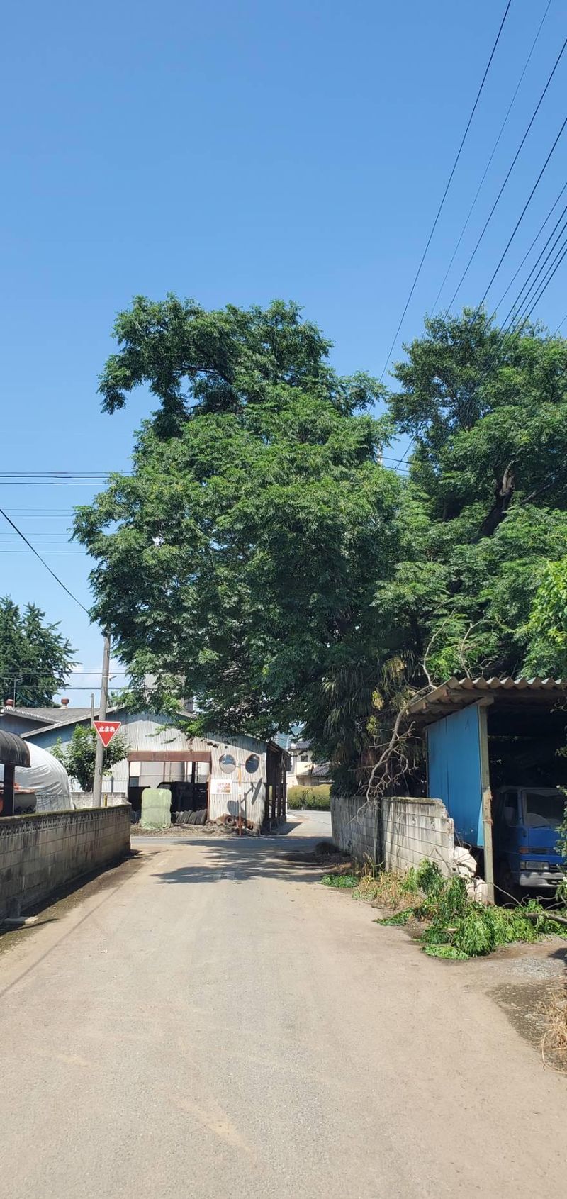 山本造園サービスのアルバイト・バイト求人情報-03