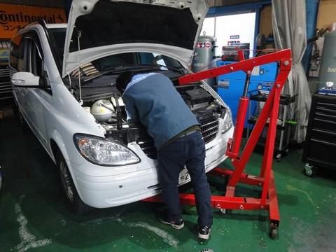 有限会社EuroFreakの求人・転職情報