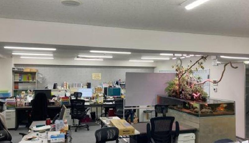 株式会社東京技能講習協会の派遣求人情報