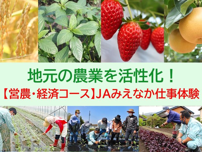 地元の農業を活性化! 【営農・経済コース】仕事体験