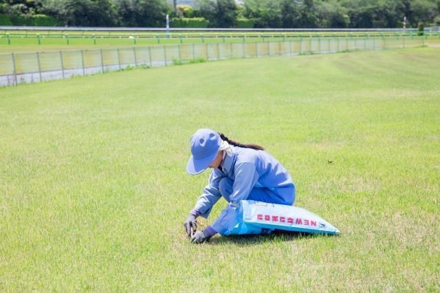㈱第二さいとうガーデン-0002の求人・転職情報