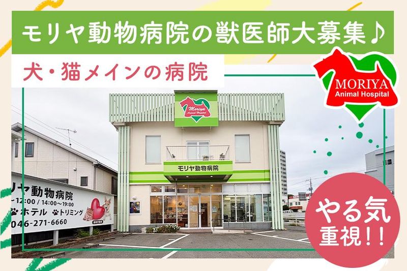 モリヤ動物病院の求人・転職情報