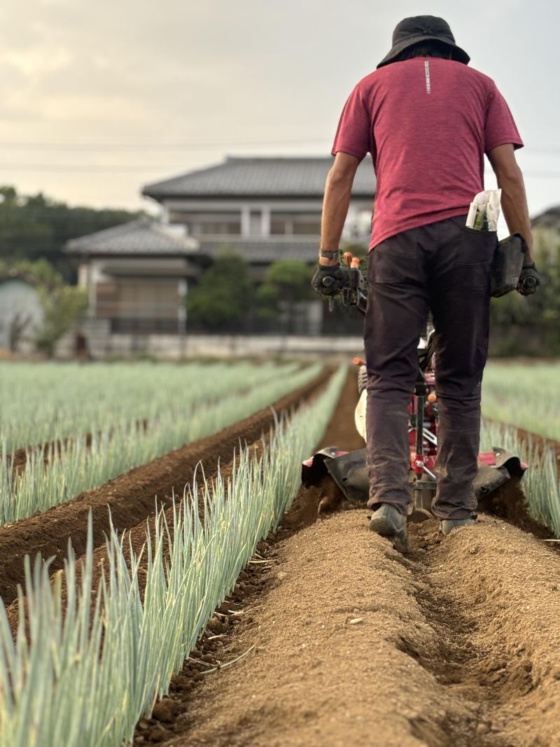 河口農園株式会社のアルバイト・バイト求人情報-04