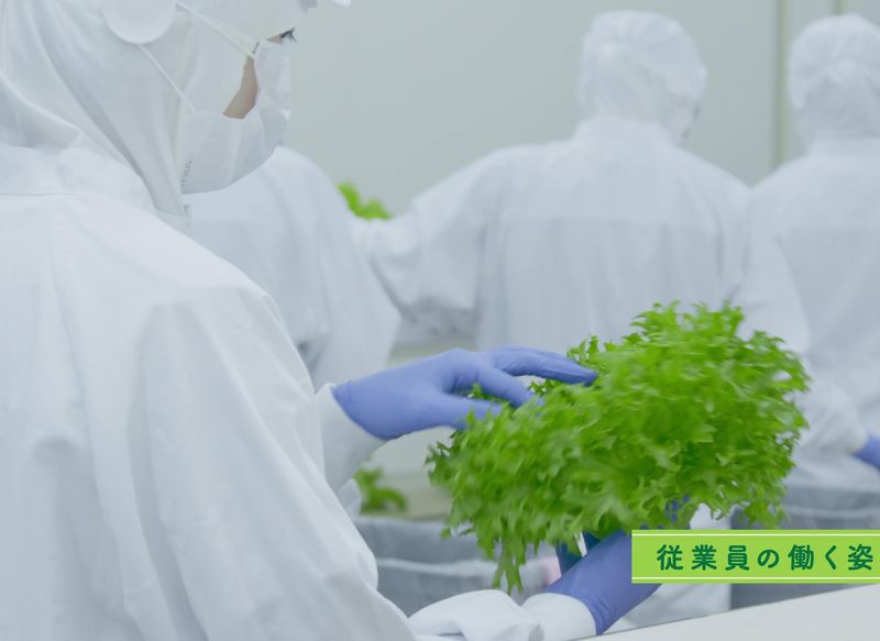 合同会社TSUNAGU Community Farmのアルバイト・バイト求人情報-02