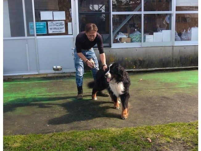 株式会社篠原園芸の求人・転職情報