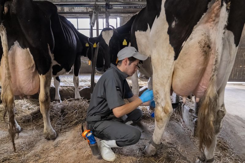 小岩井農牧株式会社