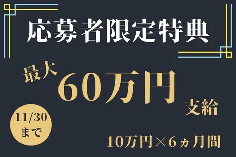 株式会社ヒューマンアイズの求人・転職情報