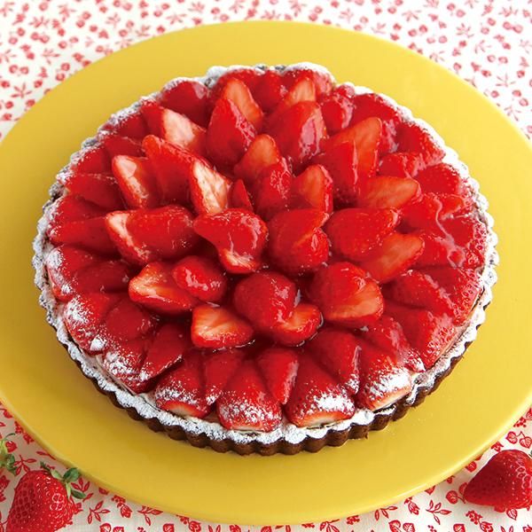 エム・イー・ジー株式会社の求人・転職情報