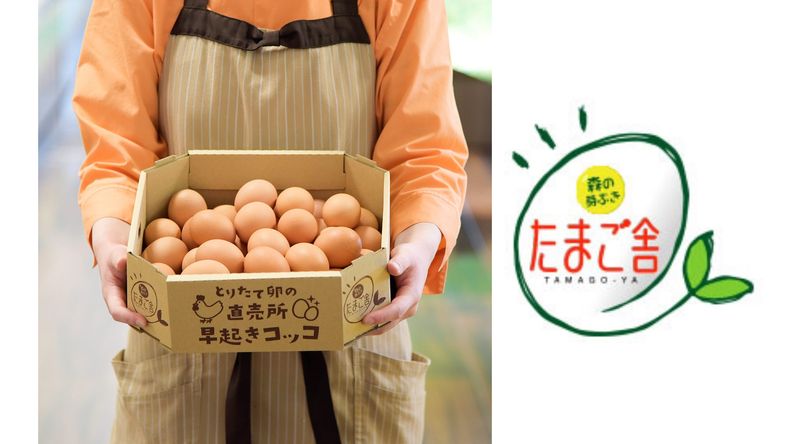 株式会社一條の求人・転職情報
