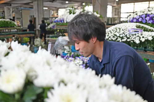 長野支店　甲府ワークスタジオのアルバイト・バイト求人情報-03