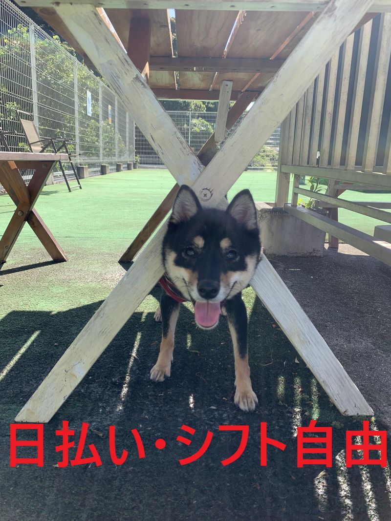 株式会社東和コーポレーション湘南営業所【横須賀中央】のアルバイト・バイト求人情報-03